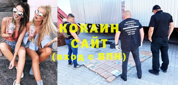 гашик Пересвет