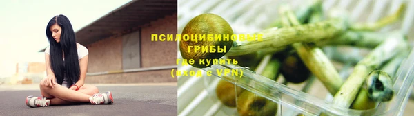 прущая мука Алзамай