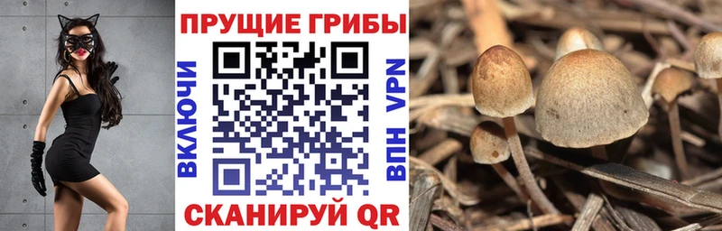 сайты даркнета телеграм  Ивангород  Псилоцибиновые грибы мухоморы  цены наркотик 